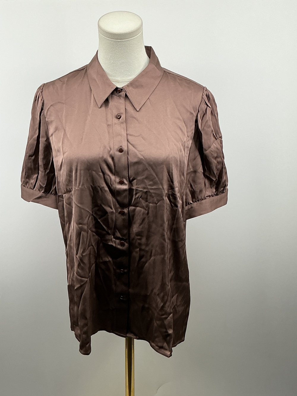 Washable Stretch Silk Puff Sleeve Blouse